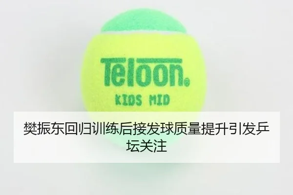 樊振东回归训练后接发球质量提升引发乒坛关注