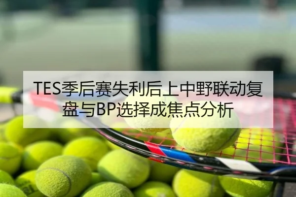 TES季后赛失利后上中野联动复盘与BP选择成焦点分析